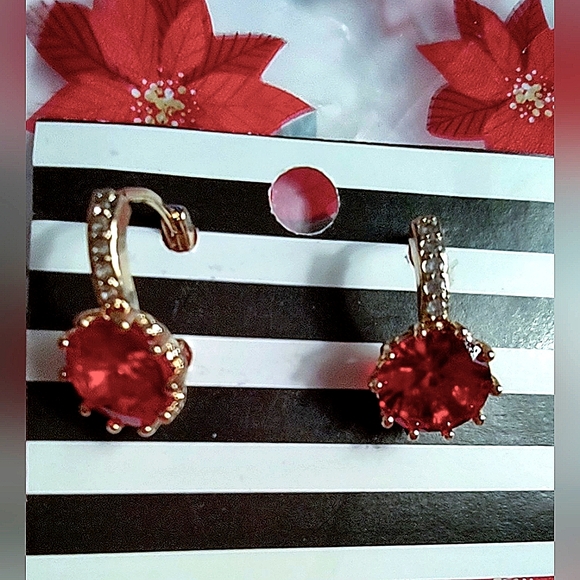 Leverback Red CZ Fashion Earrings - Picture 11 of 11